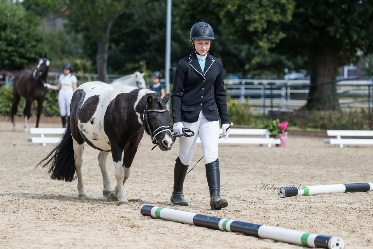 Bild 4 - Pony Akademie Turnier